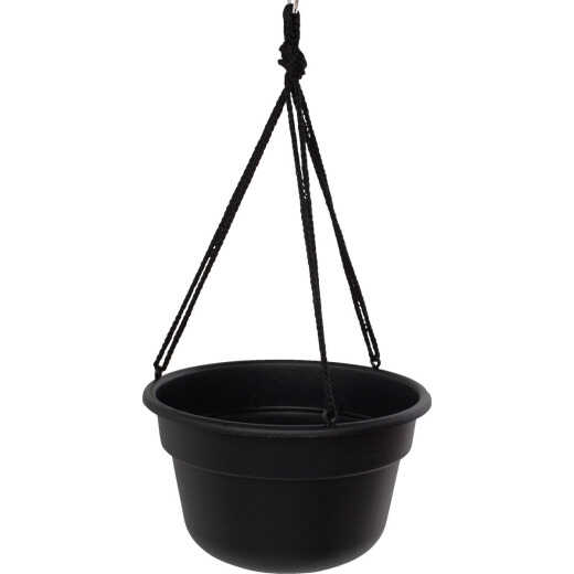 Bloem Dura Cotta 12 In. Plastic Black Hanging Plant Basket